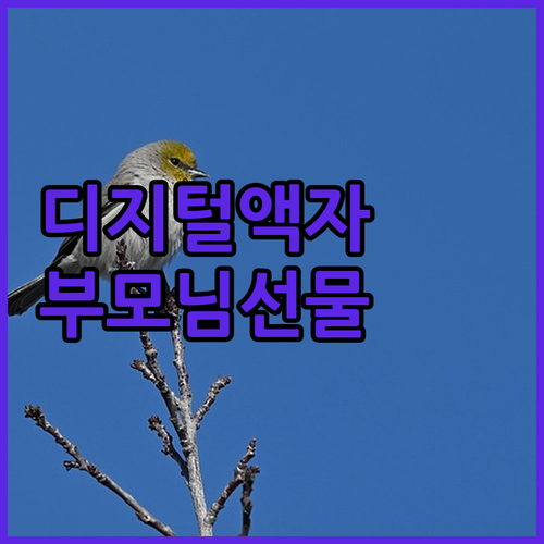 카멜 디지털 액자 솔직 후기 부모님 