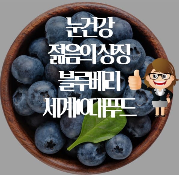 블루베리 표지사진