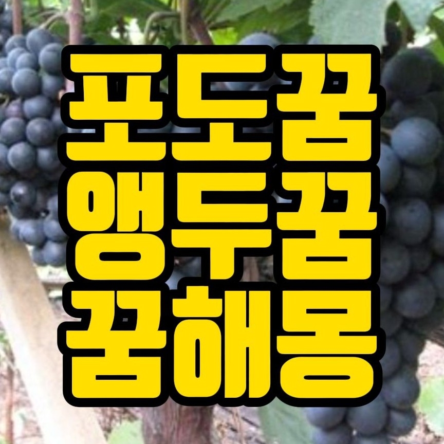  [꿈해몽] 포도가주렁주렁열린꿈, 포도꿈, 앵두꿈, 딸기꿈 관련 꿈풀이