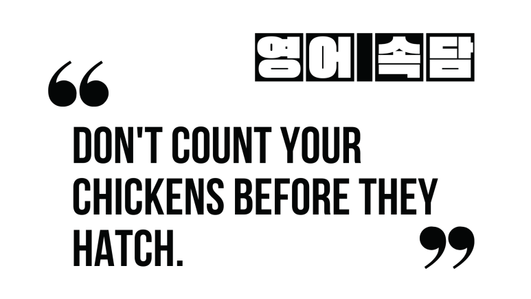  (영어 속담) Don't count your chickens before they hatch.