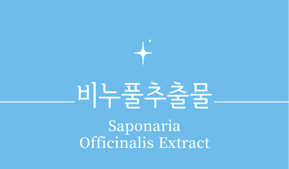 '비누풀추출물(Saponaria Officinalis Extract)'