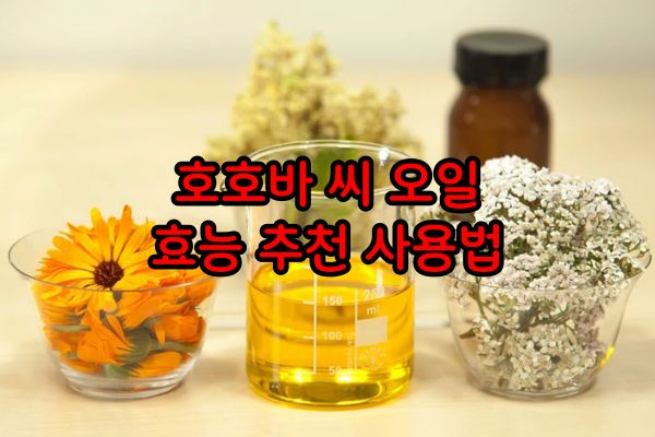 호호바 씨 오일 효능 추천 사용법