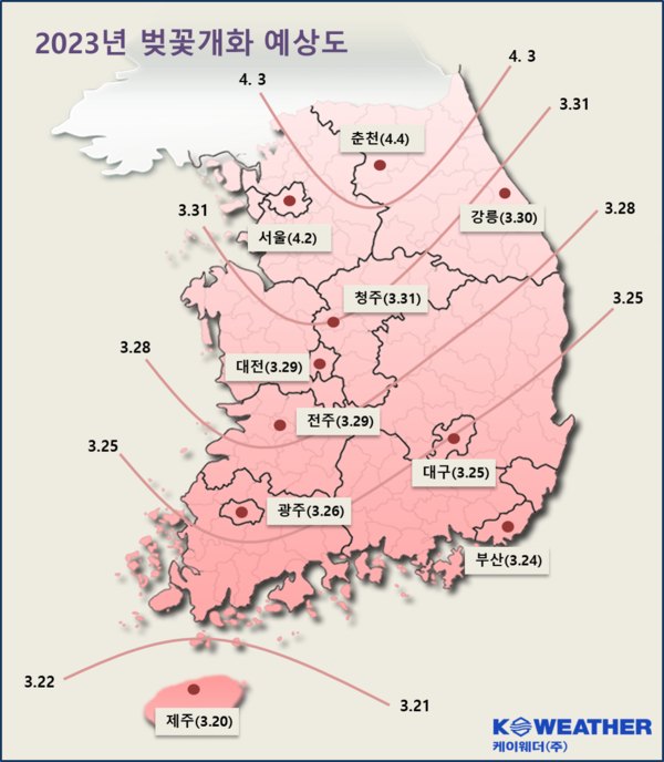 2023 벚꽃 개화시기