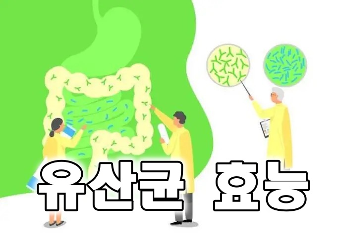  유산균 효능 | 프로바이오틱스, 포스트바이오틱스, lgg 유산균, 프롤린 유산균