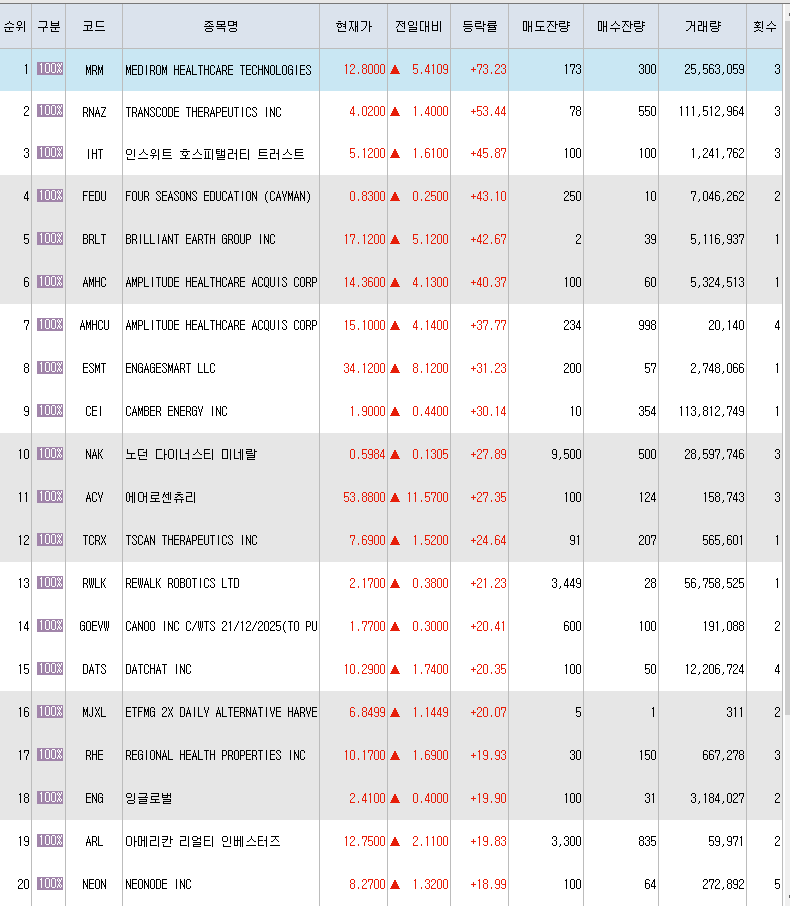  9월23일 미국주식 상승률 상위 종목 TOP 300