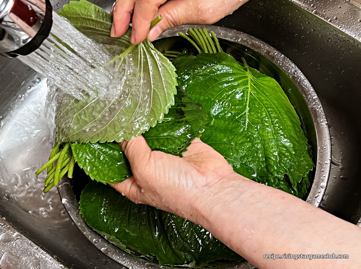 깻잎의 뒷면을 흐르는 물에 세척하는 사진