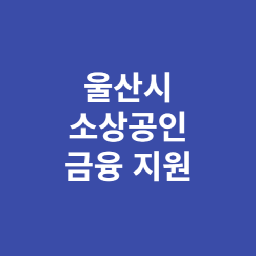 울산시 소상공인 금융 지원