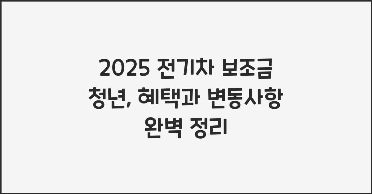 2025 전기차 보조금 청년