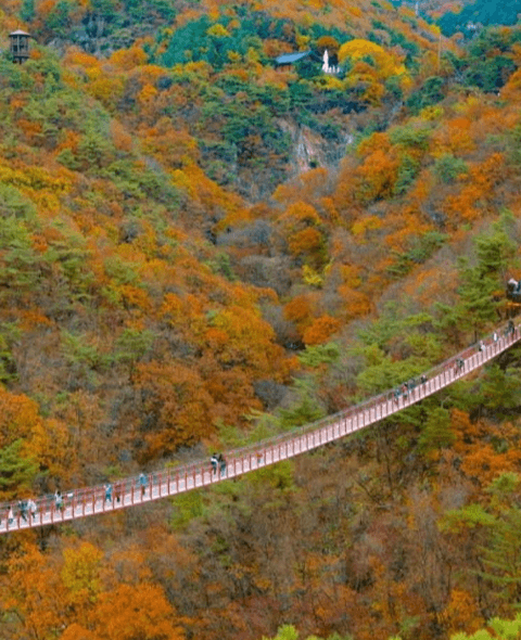 감악산 출렁다리 절경과 아찔함을 동시에 즐길 수 있는 추천여행지