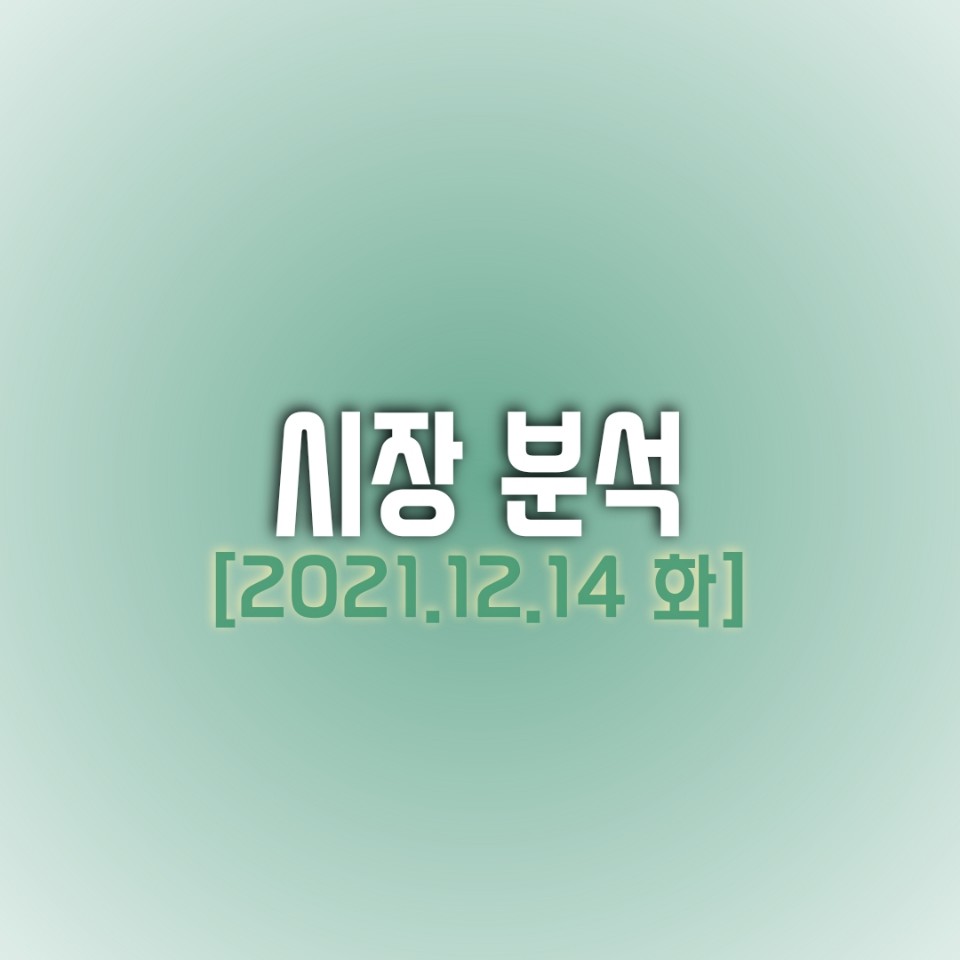  금일(12/14) 주식 시장 분석