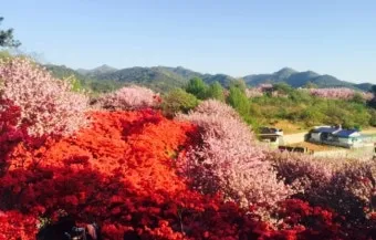 전주 완산칠봉 꽃동산 등산로 벙커 코스_20