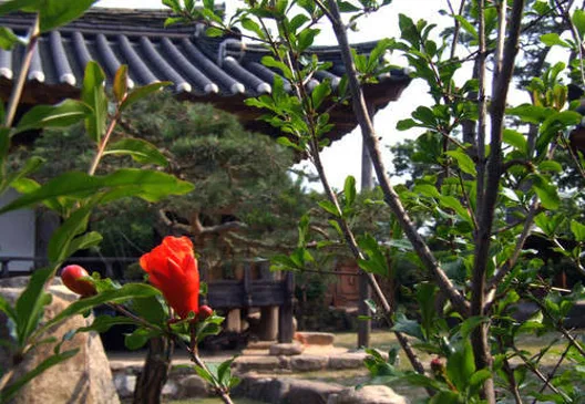 행복한밤마을