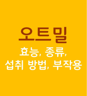  슈퍼푸드 오트밀 효능, 유형(종류), 섭취방법, 부작용 총 정리!