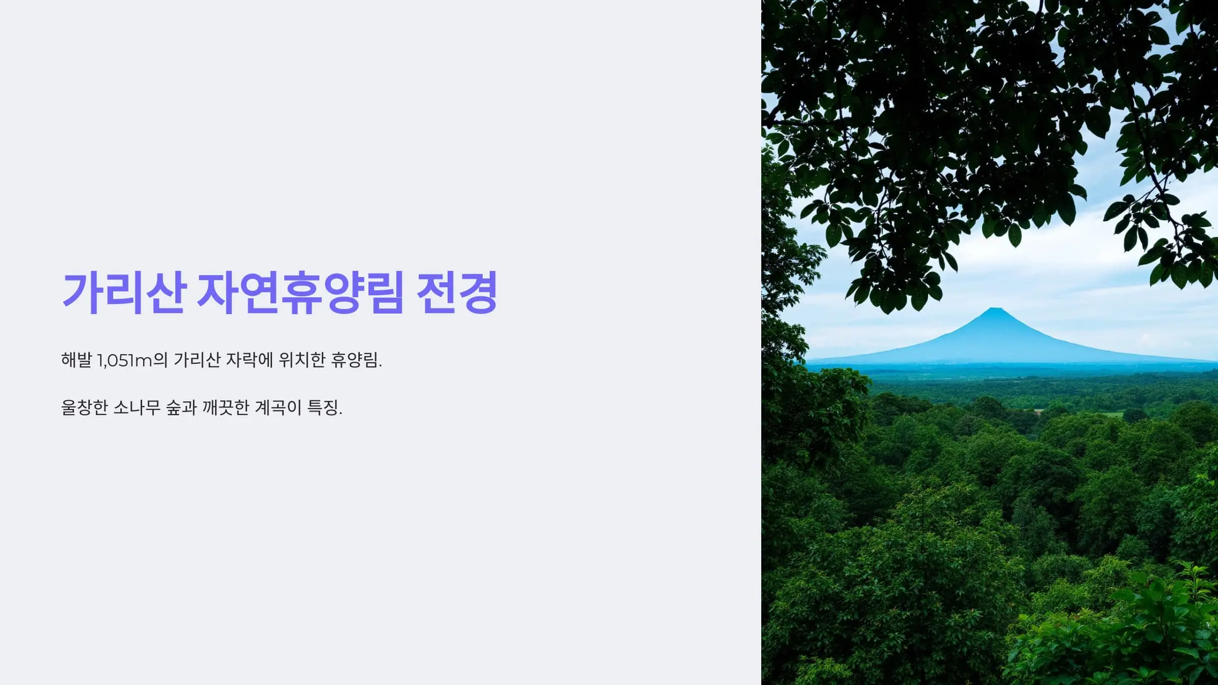 가리산 자연휴양림 전경