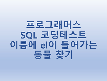  [프로그래머스] SQL 코딩테스트 이름에 el이 들어가는 동물 찾기