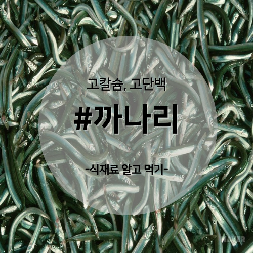  알고 먹기 21. #까나리
