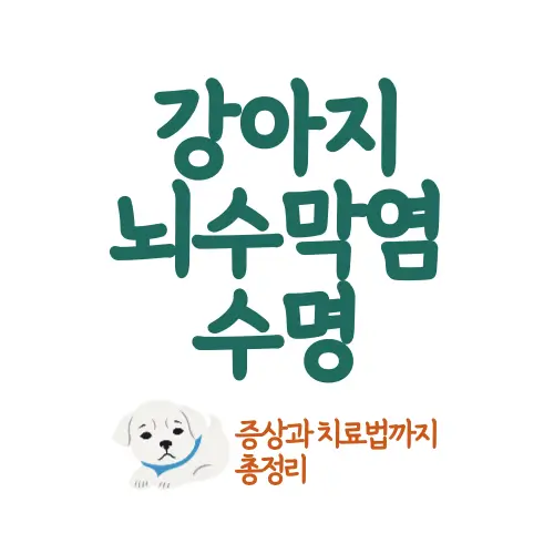 강아지 뇌수막염 수명