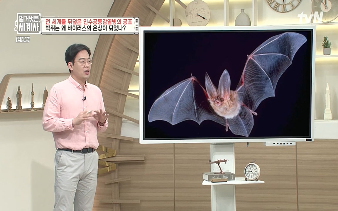 벌거벗은 세계사.E59.220810p-NEXT.mp4_20220810_212418.326.jpg