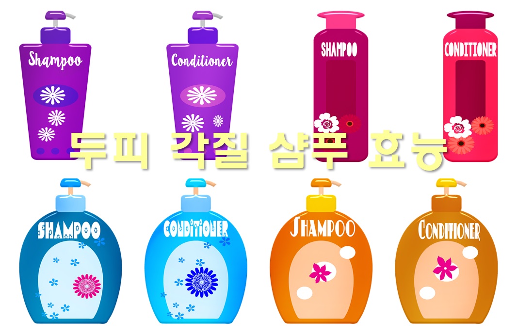  두피 각질 샴푸 효능과 두피 각질 없애는 법