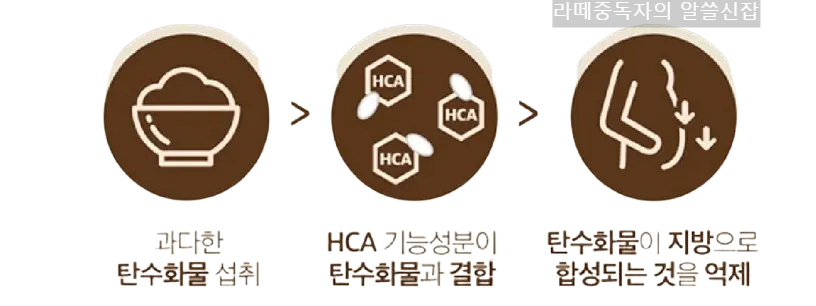 홀리데이즈 다이어트 커피 효과_가르시니아 캄보지아 추출물(HCA)