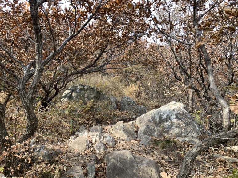 오서산 최단코스 [BAC 100대명산 / 보령 오서산 최단코스] 오서산자연휴양림 ~ 월정사 40