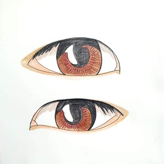  갈색 눈들 Brown Eyes 일러스트 그림 드로잉 2020