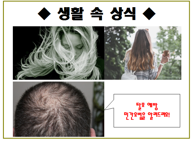 비듬퇴치법&#44; 머리카락에 윤기를 내게 하는 방법&#44; 탈모 예방 방법