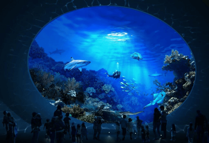 시애틀 아쿠어리움 Seattle Aquarium
