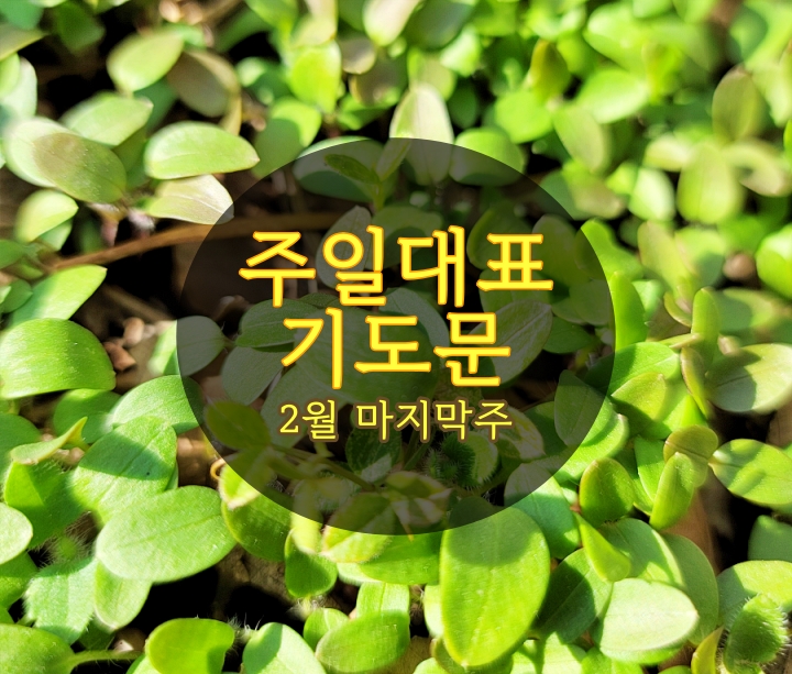  2월 마지막주 주일대표기도문, 새학기와 청년들을 위한 기도