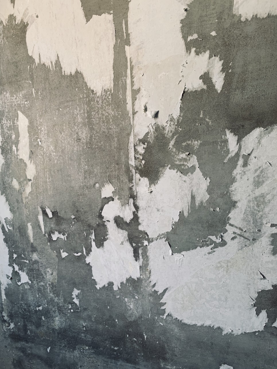 벽지곰팡이 제거 10