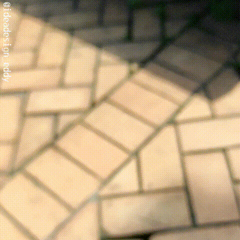 img.gif