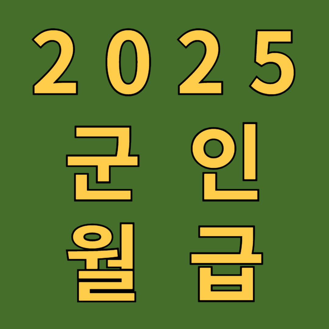 2025년 군인 계급별 월급 총정리!