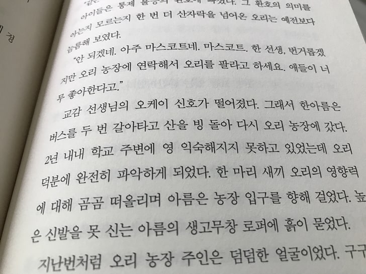 보건교사안은영원작소설20