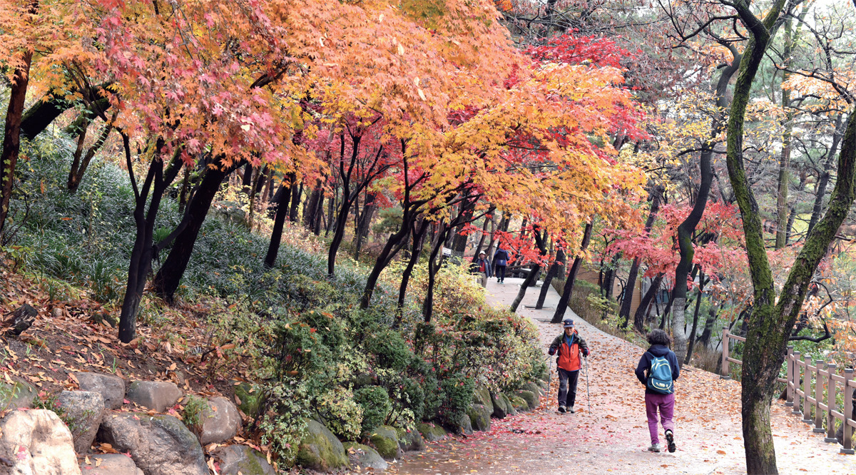 서울길 총정리