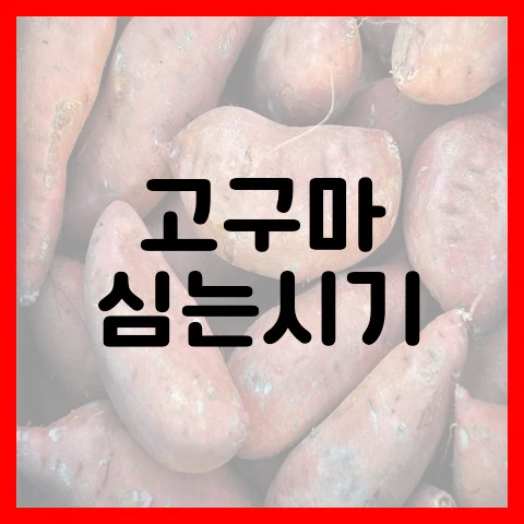 고구마 심는시기(남부&#44; 중부)