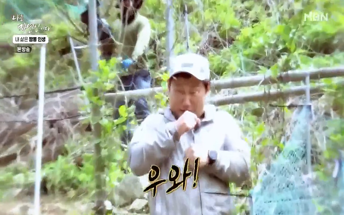 나는 자연인이다.E502.220519p-NEXT.mp4_20220519_182333.827.jpg