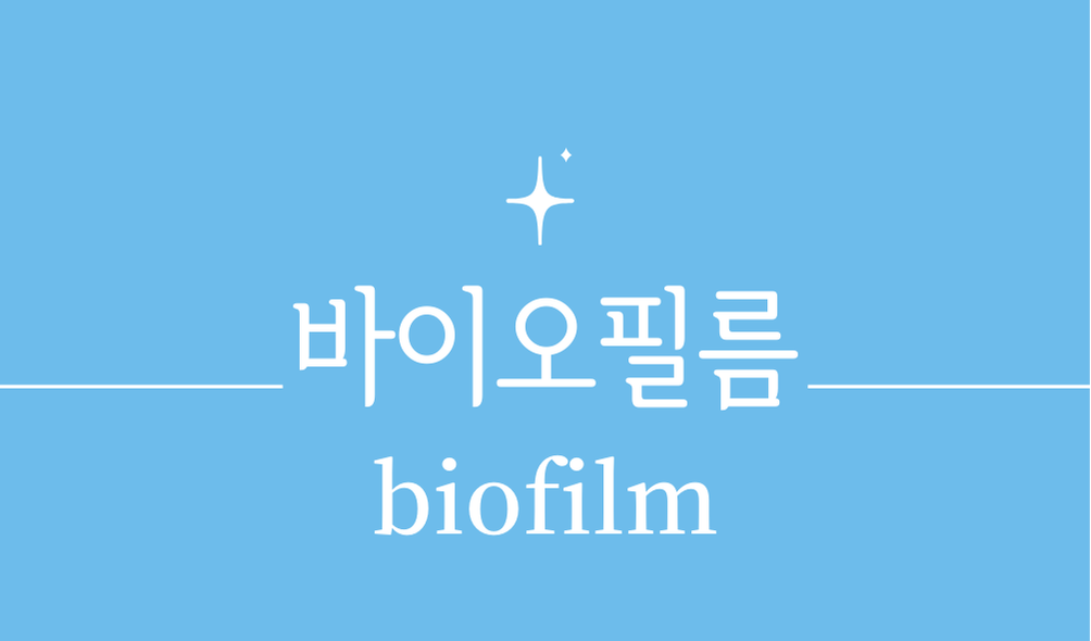 '바이오필름(biofilm)'