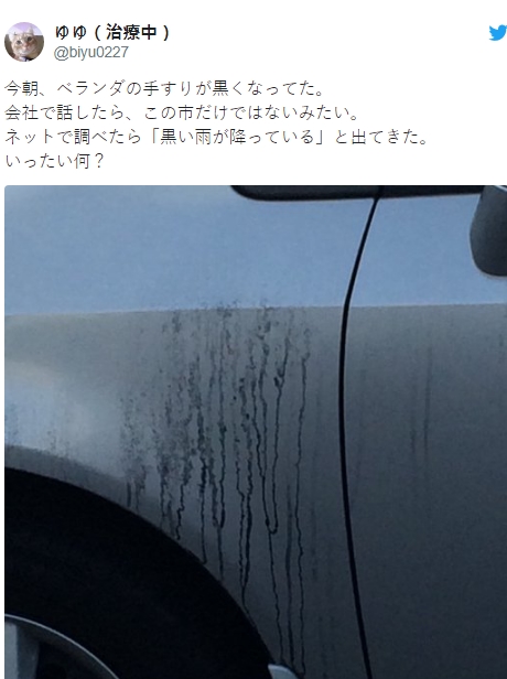  일본 검은비 미스테리