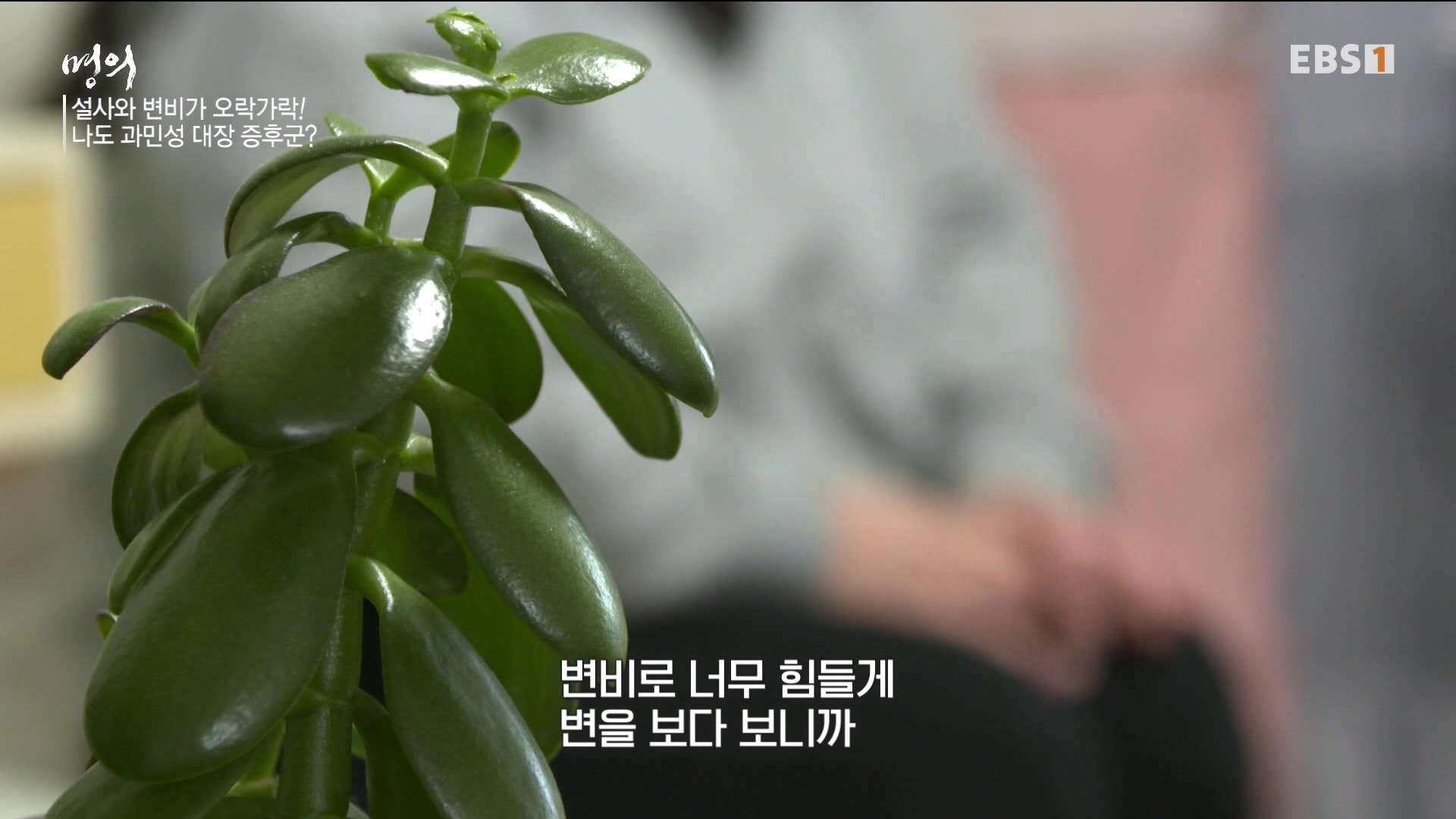 잘 먹고 잘 싸는 법 240323.mp4_20240324_172835.534.jpg