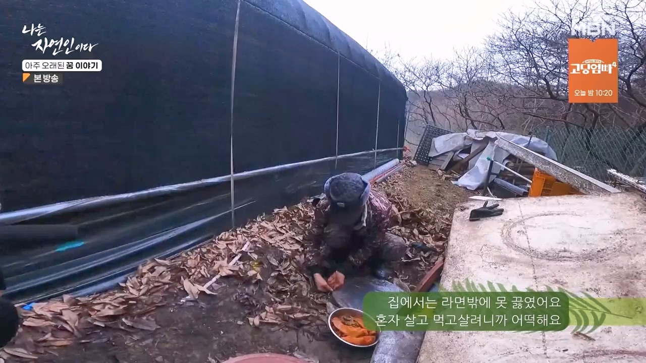 나는 자연인이다.E594.240222p-NEXT.mp4_20240222_195337.056.jpg