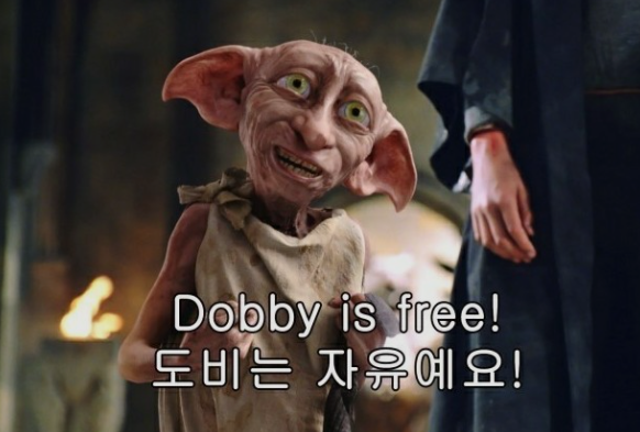 붉은수탉 이미지