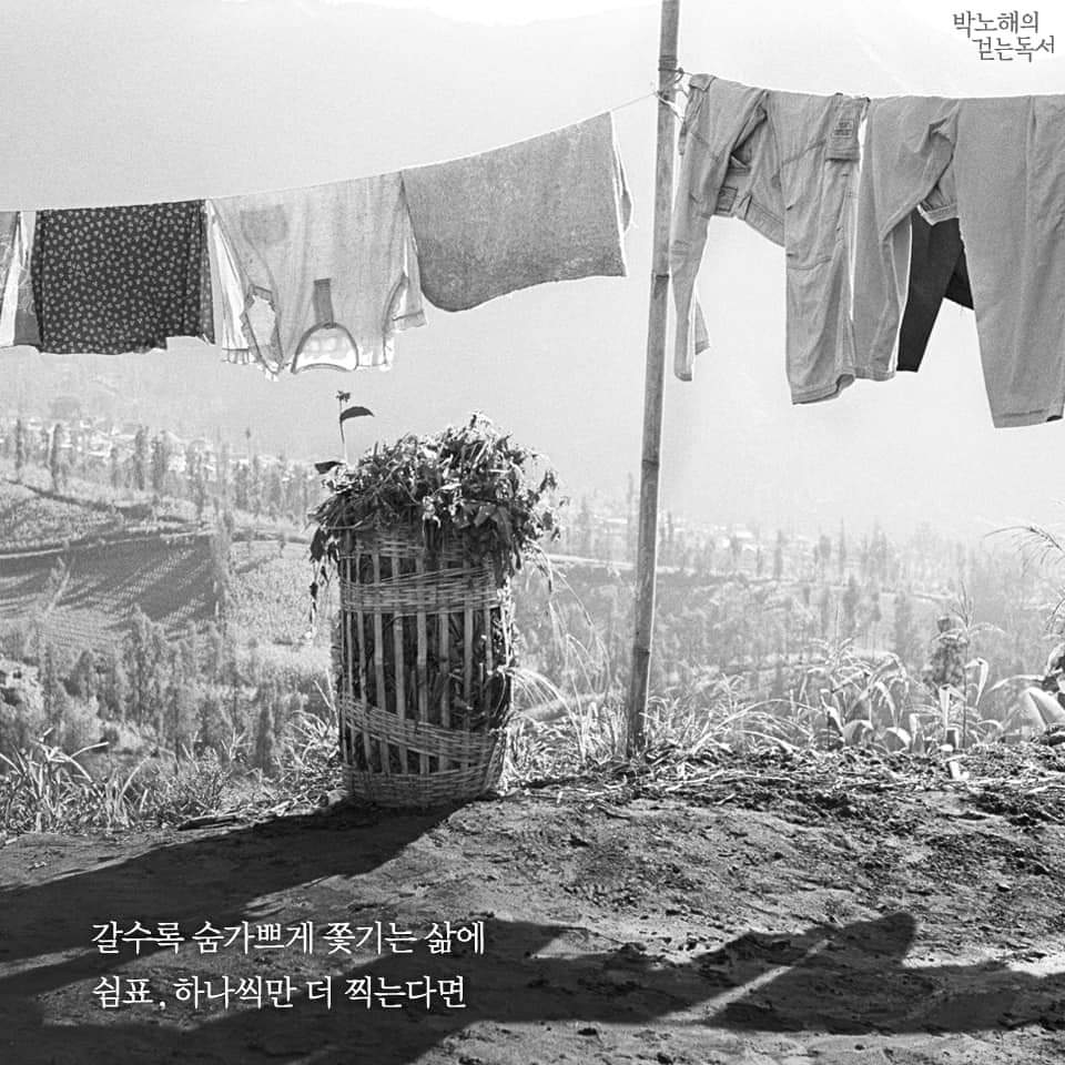 맛쉼표 이미지