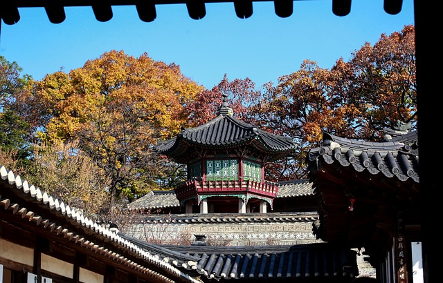 4대궁 국악 공연12