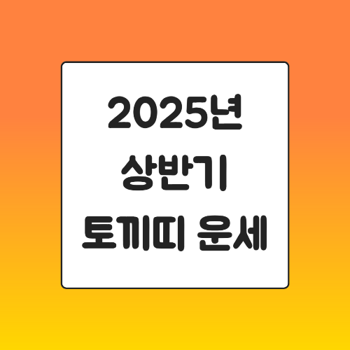 2025년 상반기 토끼띠 운세