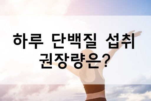 단백질 권장량, 성인 하루 단백질