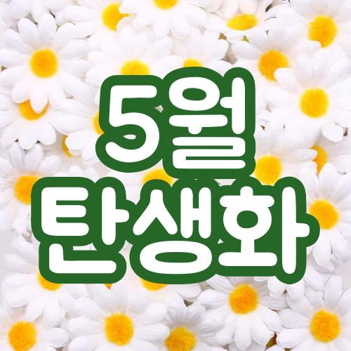  5월 가정의 달 | 일별 탄생화