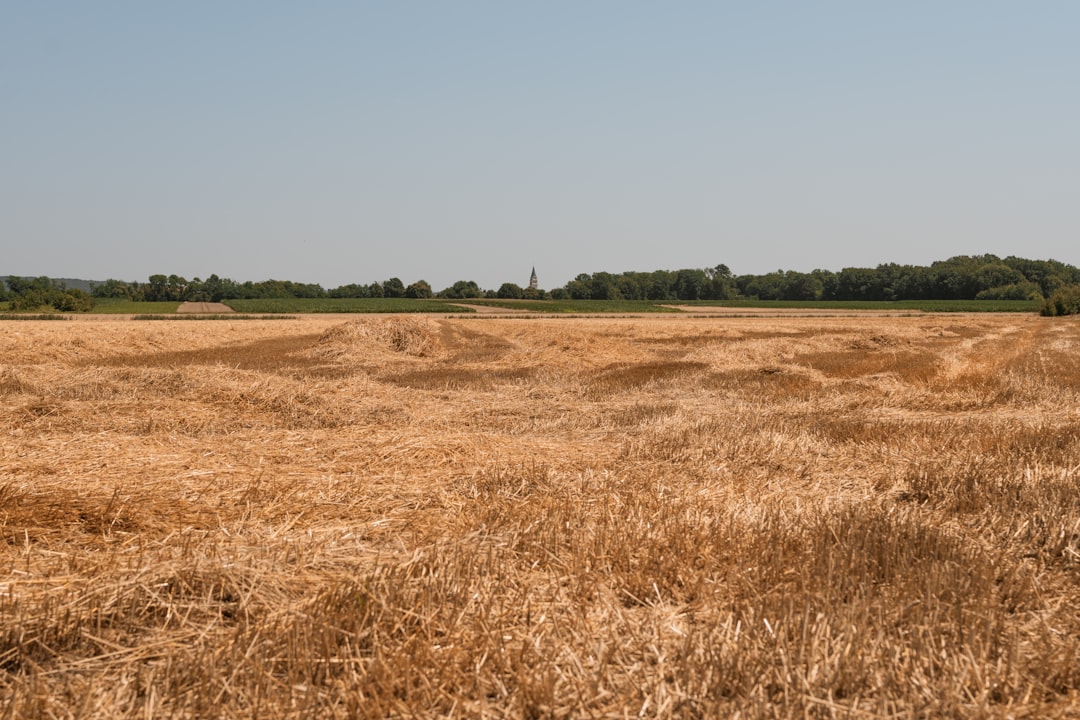 Harvesting