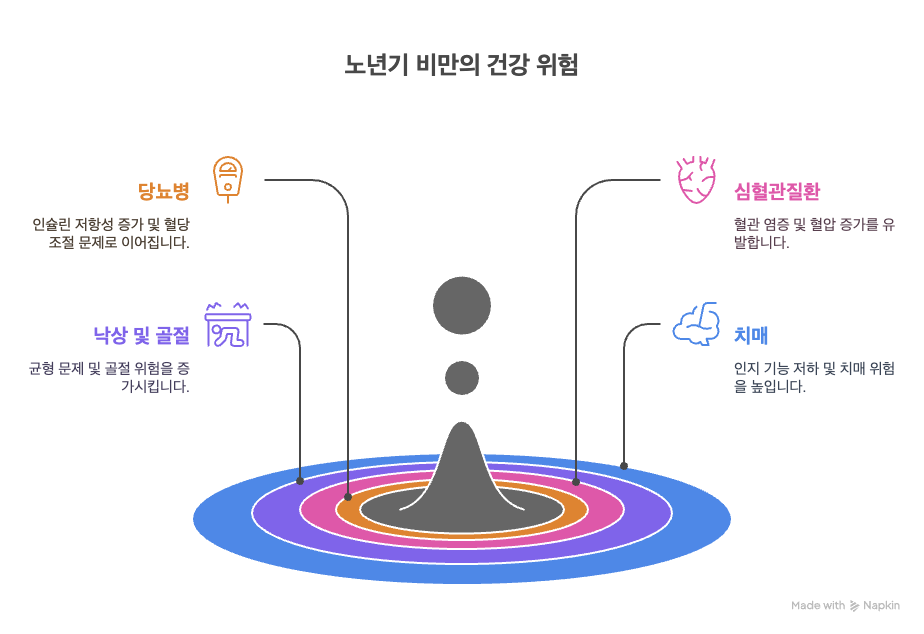 노인 비만 건강위험