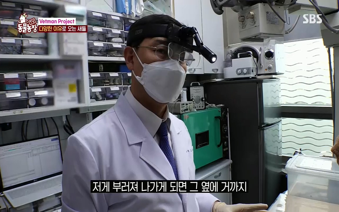 TV 동물농장.E1076.220704p.H264-F1RST.mp4_20220703_175603.853.jpg