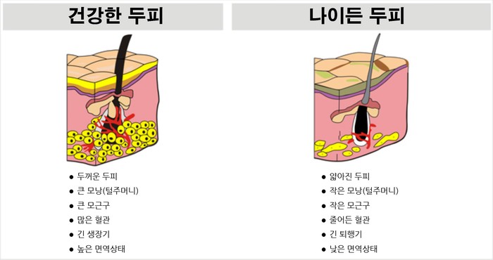  "탈모 바디케어 최고의 스킨케어 루틴"